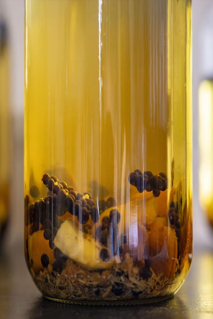 Infusion de plantes et baies aromatiques en vue de leur distillation sans alcool